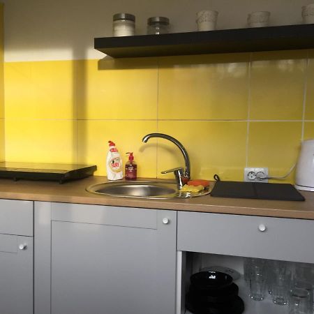 Cēsis Apartamenti Zirnis מראה חיצוני תמונה